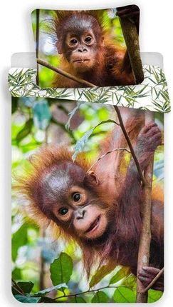 Jerry Fabrics Pościel dziecięca Orangutan 7257  rozmiar 140x200 cm