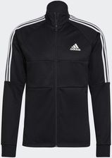 bluza adidas sereno