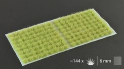 Zdjęcie Gamersgrass Light Green 6Mm Small - Wągrowiec