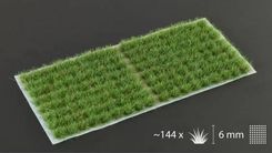 Zdjęcie Gamersgrass Strong Green 6Mm Small - Dobre Miasto