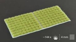 Zdjęcie Gamersgrass Light Green 4Mm Small - Wągrowiec