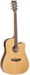 Tanglewood TW5 CE NA