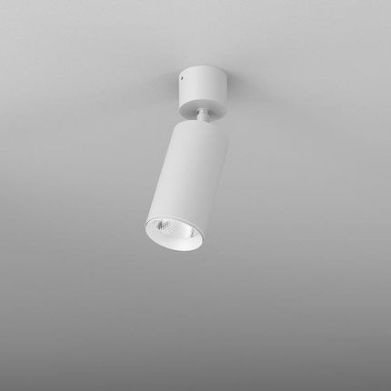Aqform plafon techniczny LED (reflektorek) Pet Next 8,5W 1060lm 4000K 35° biały struktura 16363-M940-F1-00-13