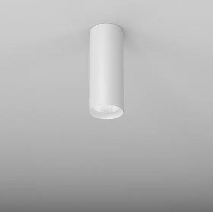 Aqform plafon techniczny LED Pet Next 11,5W 1340lm 2700K 19° biały struktura 20cm 46966-L927-S1-00-13