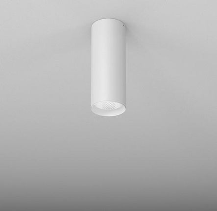 Aqform plafon techniczny LED Pet Next 11,5W 1420lm 4000K 19° biały struktura 20cm 46966-M940-S1-00-13