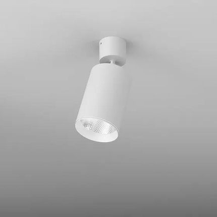 Aqform plafon techniczny LED (reflektorek) Pet Next 11,5W 1420lm 4000K 32° biały struktura 19,3cm 16371-L940-F1-00-13