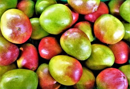 Olmuhle Solling Bio Ocet Z Mango W Kremie 100Ml - zdjęcie 3