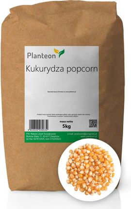 Planteon Kukurydza Popcorn 100G - zdjęcie 5