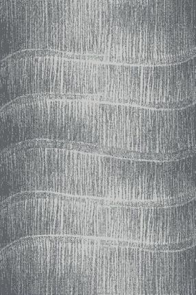 Agnella Dywan nowoczesny Tytus, szary, 80x120 cm