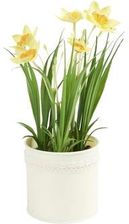 Zdjęcie Sztuczne Kwiaty W Doniczce - Mońki