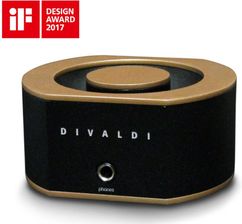Zdjęcie Divaldi AMP-01 (złoty) - Dobra