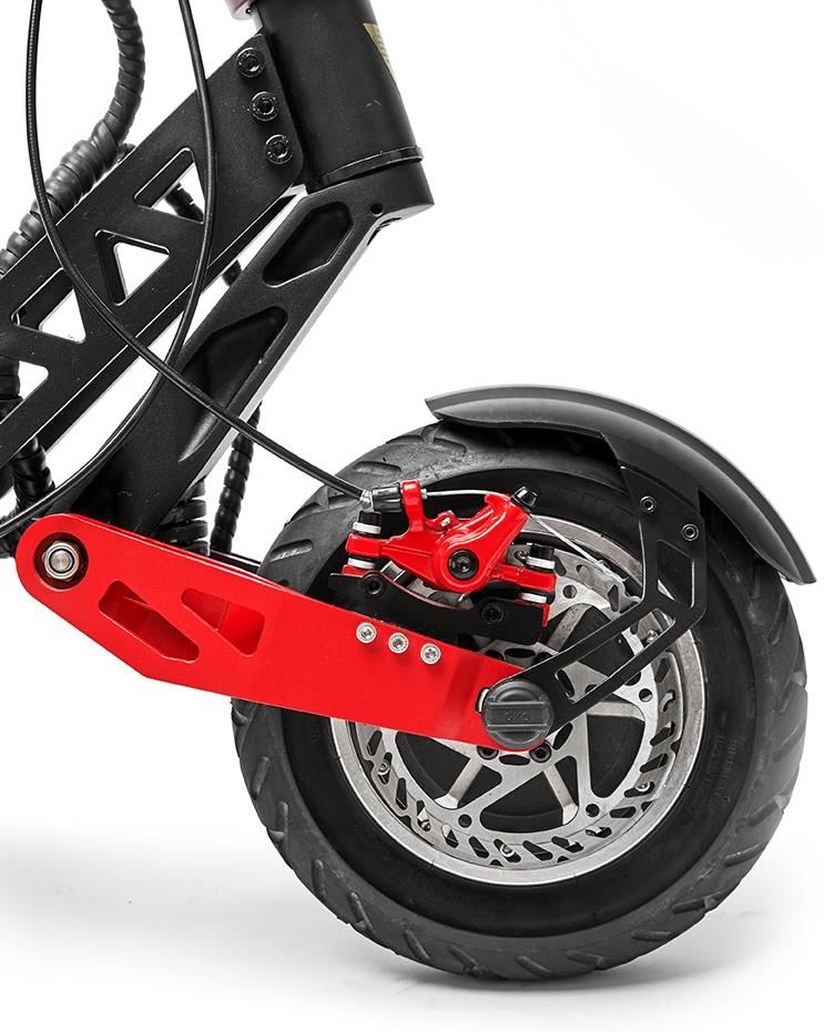 Motus Pro 10 Sport 2021 - zdjęcie 3 Motus Pro 10 Sport 2021