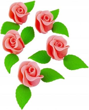 Hokus Zestaw Róża Duża Łososiowa Z Listkami