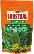 Zdjęcie Substral Magiczna Siła do Iglaków 350g - Zakliczyn