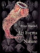 Zdjęcie Art Forms in Nature - Ciężkowice
