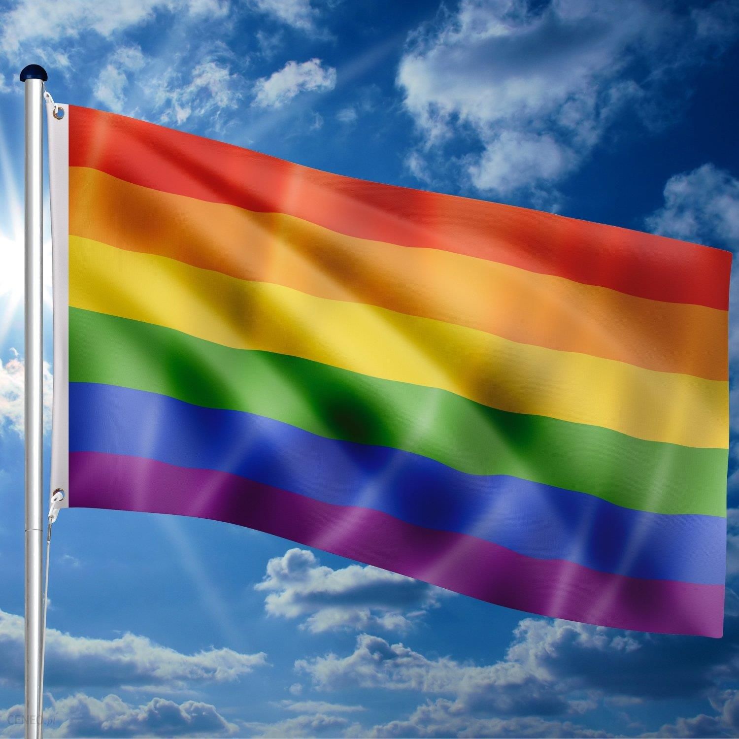 VIDAXL FLAGA RAINBOW TĘCZOWA LGBT DUMY 120X80CM NA MASZT