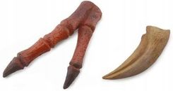 Zdjęcie Collecta Figurka Pazur I Kończyna Tyranozaura 89289 - Pakość