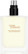 Hermes Terre D Alcohol-Free Body Spray 100ml - Pozostałe akcesoria i kosmetyki do golenia