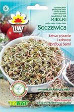 Zdjęcie Toraf Soczewica Nasiona Na Kiełki 20G Toraf - Mordy