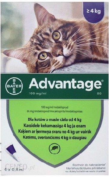 BAYER Advantage - krople na pchły dla kotów o masie ciała >4kg 4x0,8ml