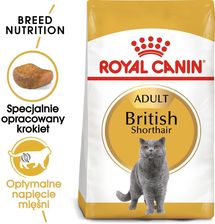 Zdjęcie Royal Canin British Shorthair 400g - Świdnica