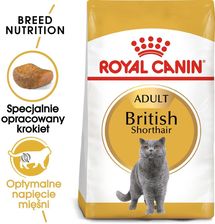 Zdjęcie Royal Canin British Shorthair 400g - Bełżyce