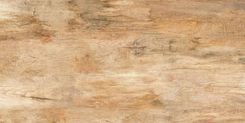 Netto Płytka Gresowa Walnut Brown Matt 60X120 Cm
