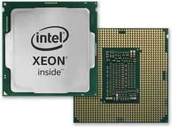Intel Xeon W-1290 - P4X-Cmlw1290-Srh94 (CM8070104379111) - Procesory serwerowe