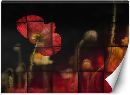 Carogroup Fototapeta Czerwony Kwiat Maku (3978F) 200X140 (TAP4TYKTF00277200X140)