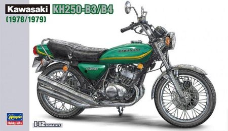 Hasegawa Kawasaki Kh250-B3/B4 1978/1979 21508