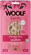 WOOLF przysmak Earth NOOHIDE S Łososiem 90g