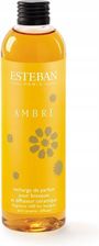 Esteban Paris Parfums Olejek Do Pachnących Pałeczek Esteban Paris Cedre Cedr 250Ml
