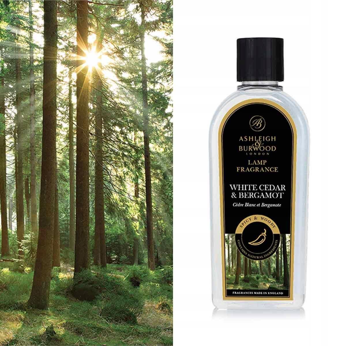 Ashleigh & Burwood Raumduft Frosted Earth 250 M Produktbild-Vorschau 3