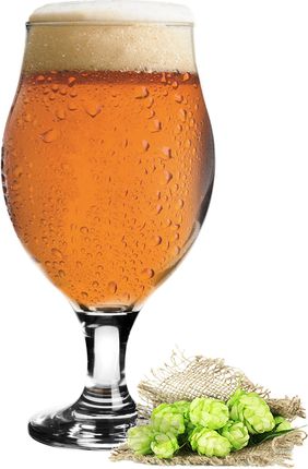 Glasmark Pokal Szklanka Do Piwa Na Nóżce 500ml