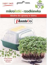 Zdjęcie Nasiona Na Mikrolistki Rzodkiewka 10G - Lębork