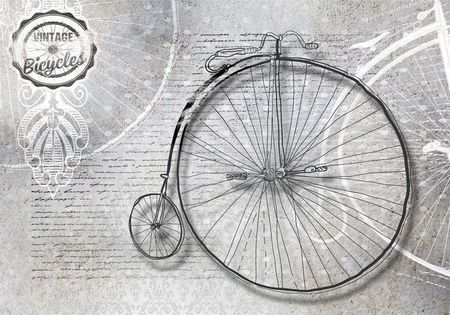DecoNest Fototapeta Vintage Bicycles Black And White 200x140