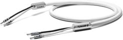 Zdjęcie Oyaide TUNAMI II SP-B V2 - Kabel głośnikowy - 2 x 2.5 m  - Trzebnica