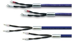 Zdjęcie Oyaide OR-800 Advance - Kabel głośnikowy - 2 x 3.0 m  - Stęszew