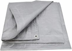 Zdjęcie Linyi Sanyang Plastic Awtools Plandeka Srebrna 120G 3* 5m AW68066 - Suchowola