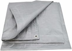 Zdjęcie Awtools Plandeka Srebrna 120G 8*10m AW68075 - Orneta