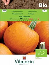 Zdjęcie Bio-Dynia Jack Olantern 2G Vilmorin - Dobre Miasto