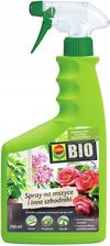 Zdjęcie Bio Spray Na Mszyce Szkodniki 750ml - Łabiszyn