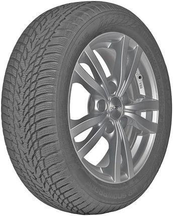 Nokian Tyres Wr Snowproof 205/55R16 91H