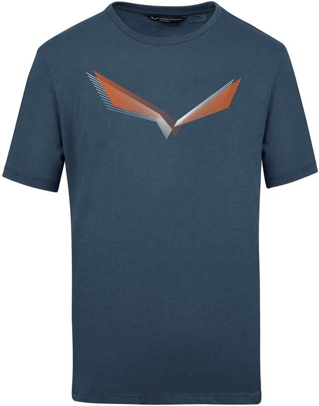 Camisas De Manga Corta Salewa Lines Graphic Dry T-Shirt