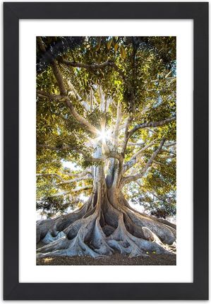 Feeby Obraz W Ramie Czarnej Wielkie Egzotyczne Drzewo 60X90Cm