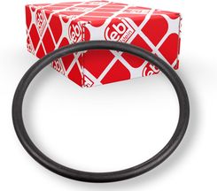 Febi Bilstein Uszczelka Pompy Paliwa 172666
