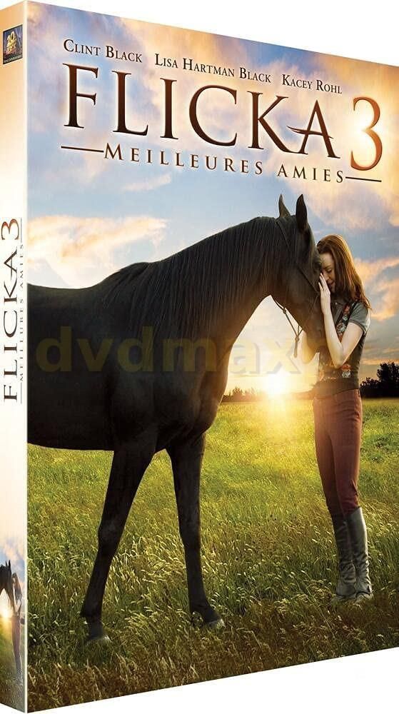 Flicka 3 Film DVD Flicka: Country Pride (Flicka 3: Najlepsi przyjaciele) [DVD ...