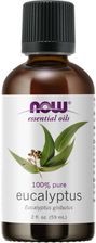 Zdjęcie Now Foods Olejek Eukaliptusowy (59 Ml) 132711 - Brwinów