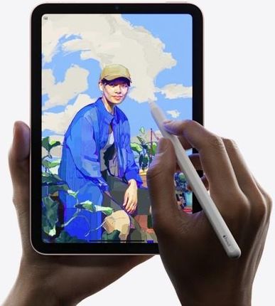 Tablet Apple iPad Mini 64GB Wi-Fi Różowy (MLWL3FDA) - Ceny i