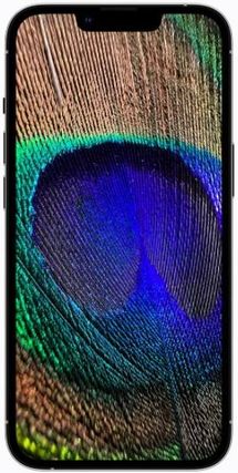 Apple iPhone 13 Pro 紺ブルー Apple iPhone 13 Pro Niebieski 128GB - Poleasingowy z